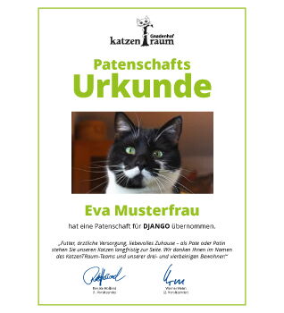 Patenschaft Katze Verschenken