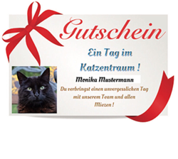 Geschenkgutschein „Ein Tag im KatzenTRaum“ !