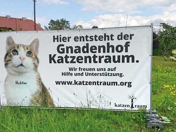 Gnadenhof KatzenTRaum Traumhaus gefunden