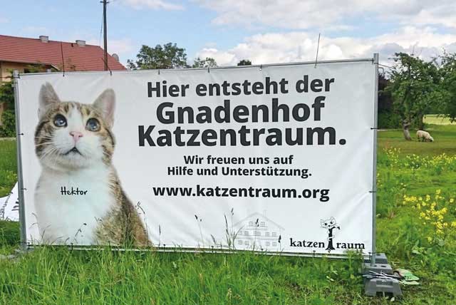 Gnadenhof KatzenTRaum Traumhaus gefunden