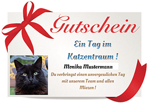 Geschenkgutschein „Ein Tag im KatzenTRaum“ !
